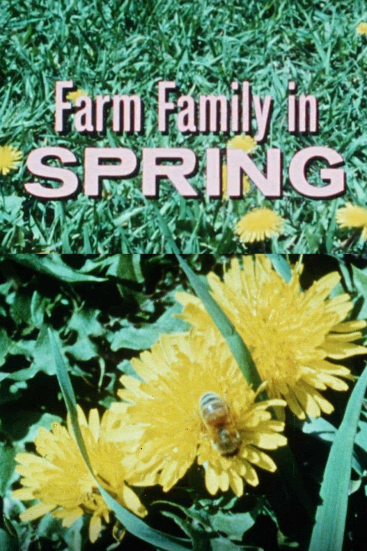 Farm Family In Spring