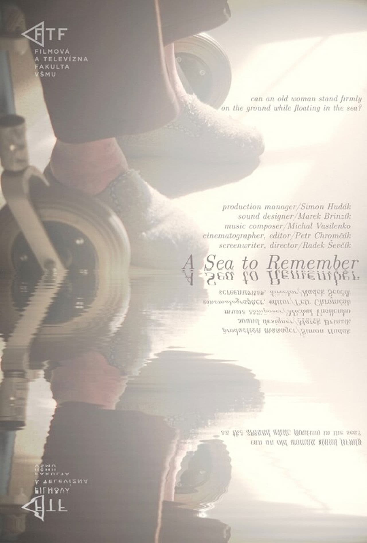 A Sea to Remember