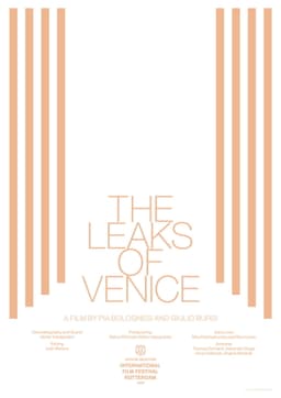 The Leaks of Venice