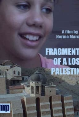 Fragments of a Lost Palestine