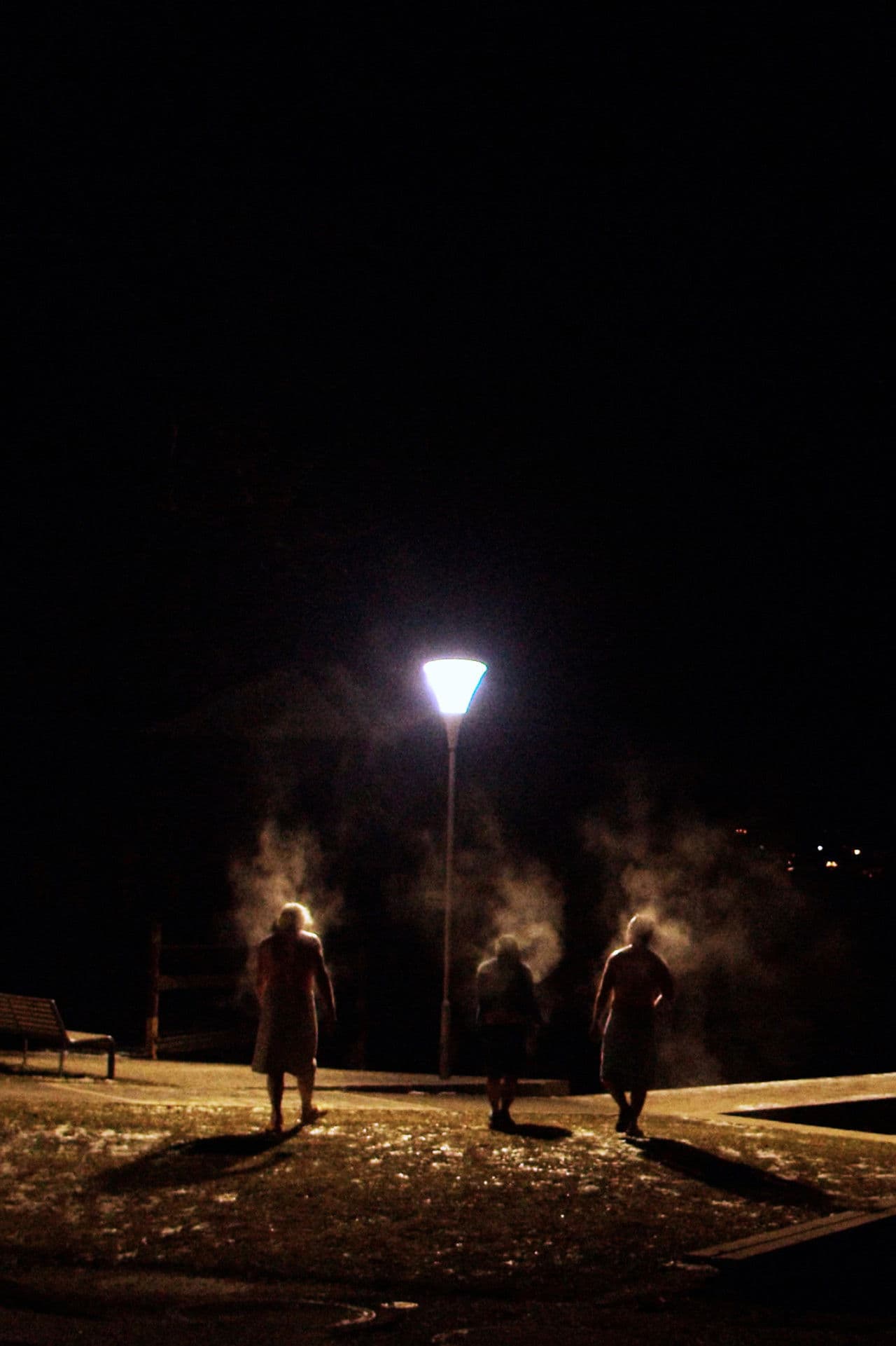 Die Saunagänger vom Attersee