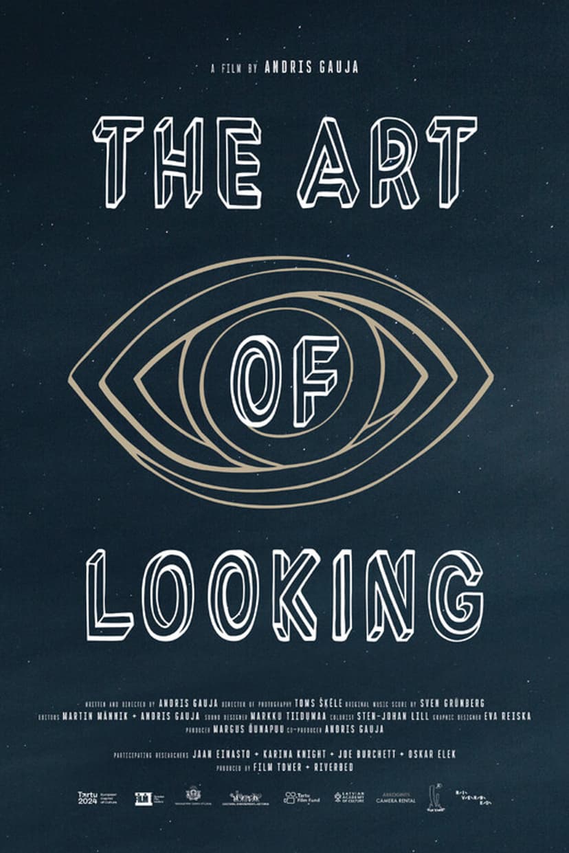 The Art of Looking