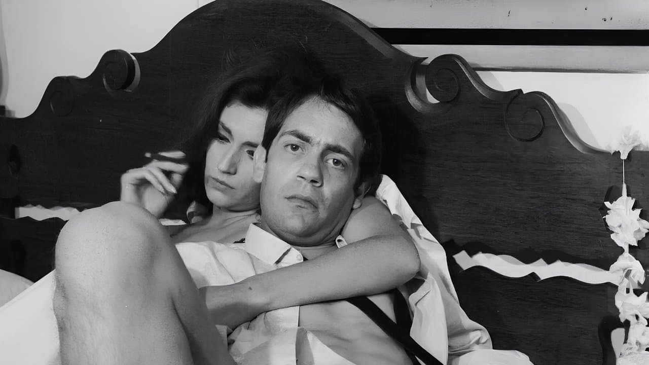 All the Women in the World