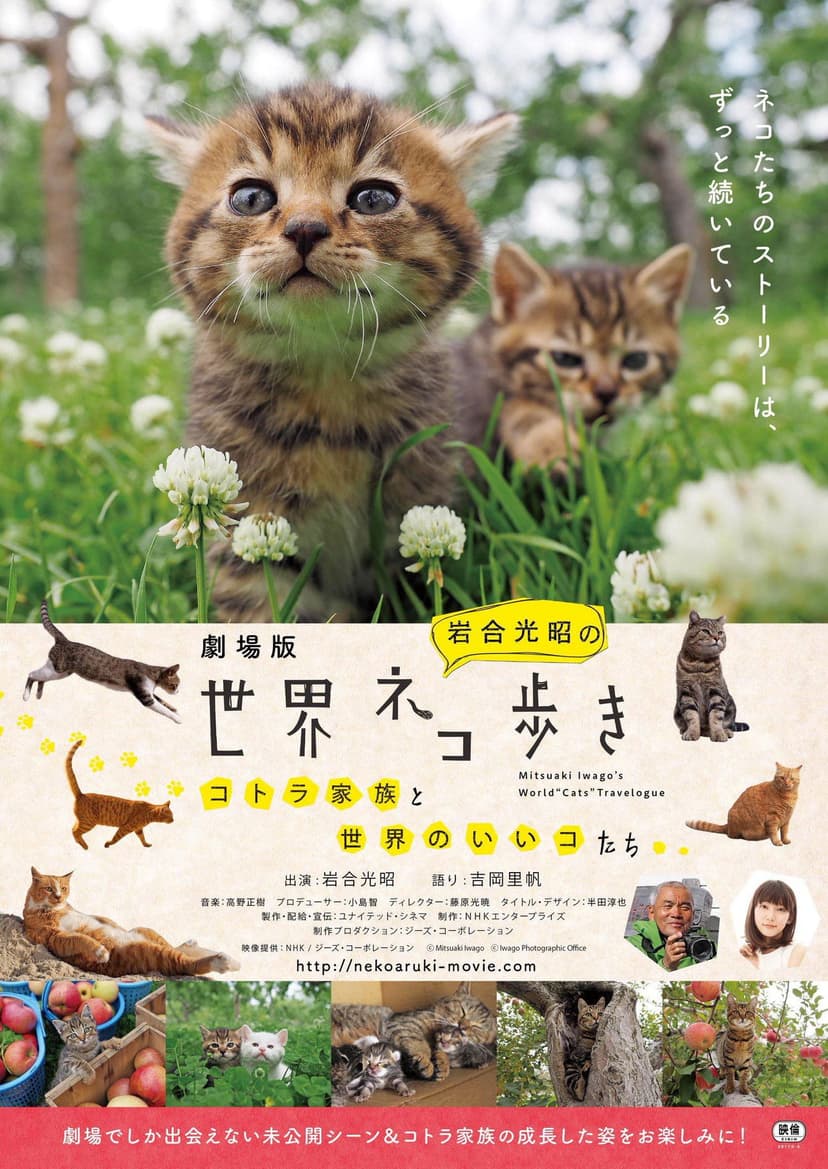Mitsuaki Iwago's World “Cats” Travelogue