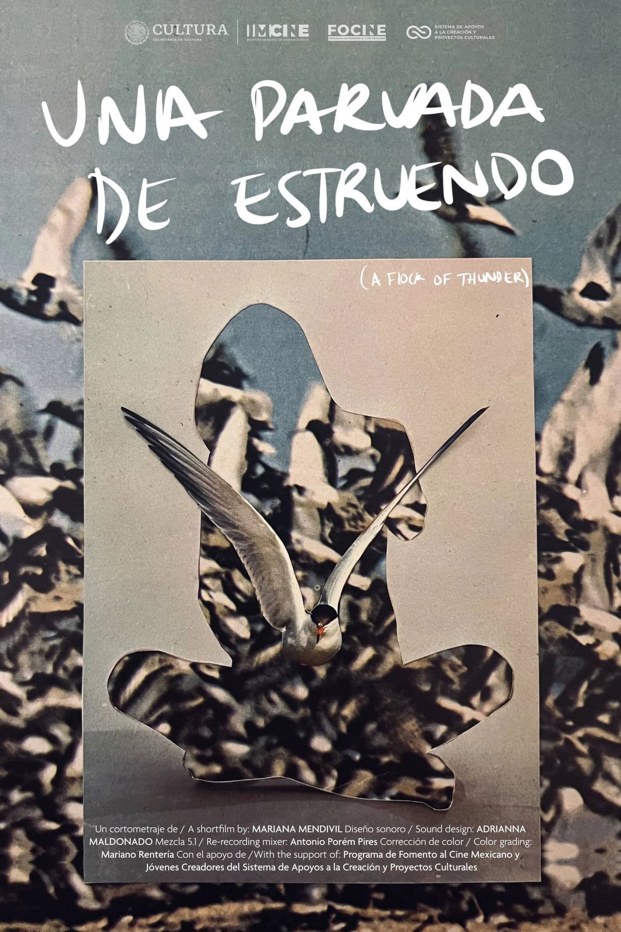 Una parvada de estruendo