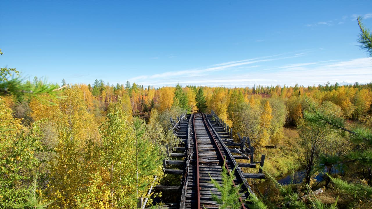 A Journey to the Gulag