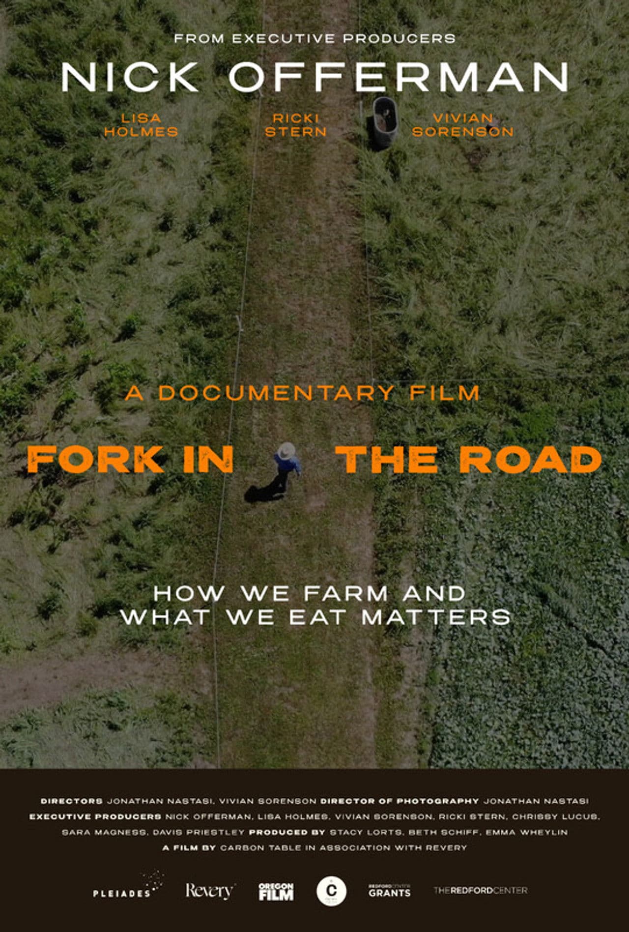 Fork in the Road