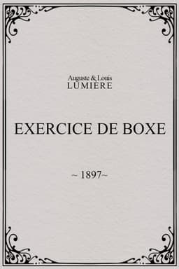 Exercice de boxe