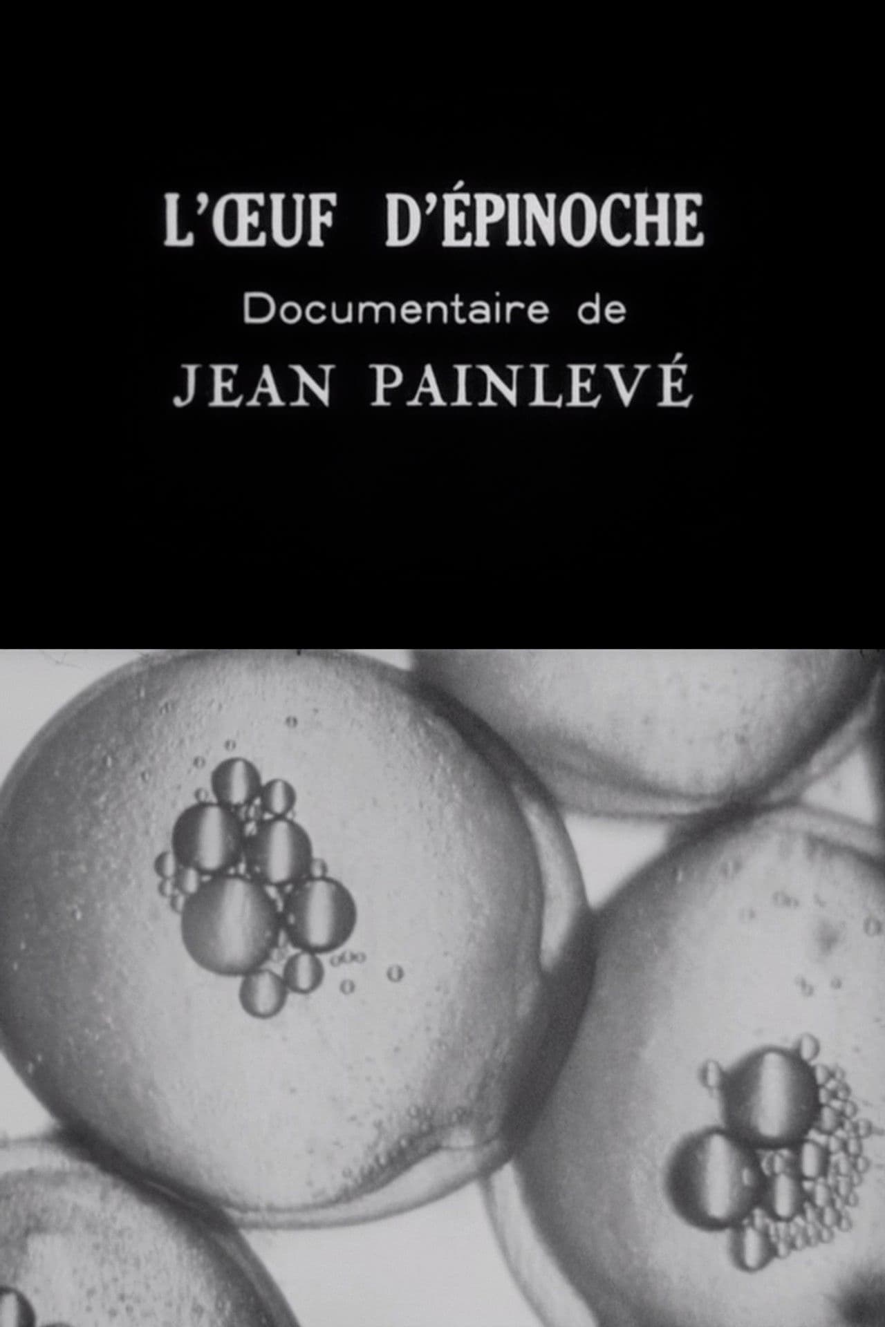 The Stickleback's Eggs