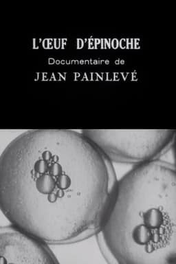 The Stickleback's Eggs