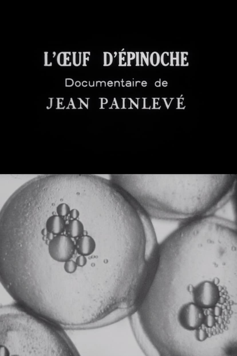 The Stickleback's Eggs