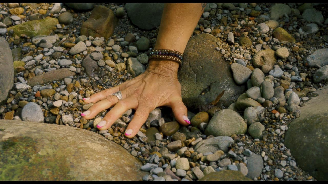 Medianoche de esplendor