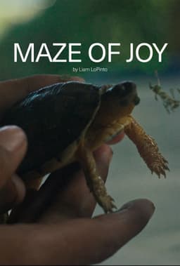 Maze of Joy