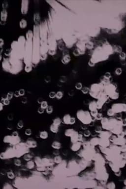 meu canto não tem nd a ver com a lua