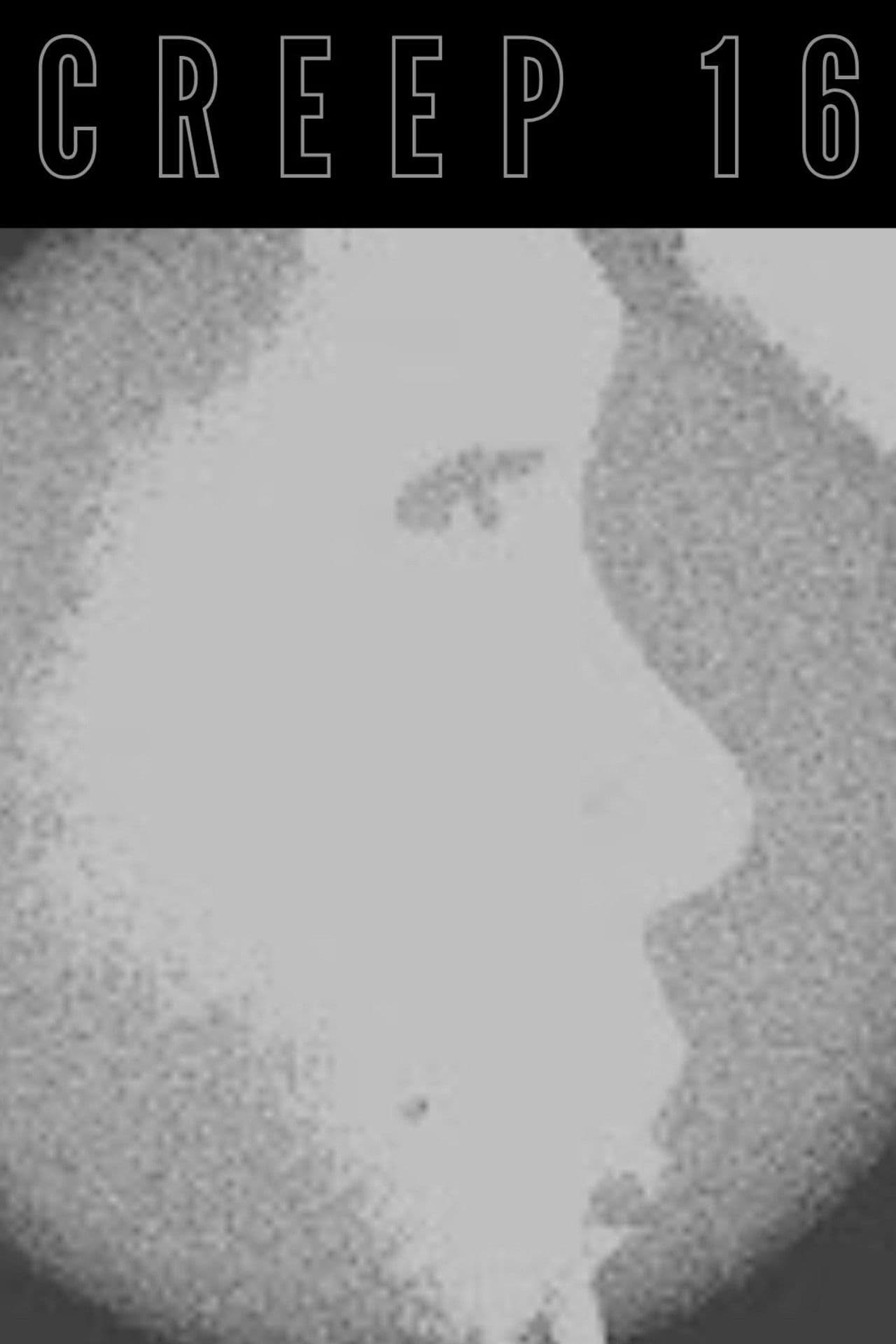 Creep 16