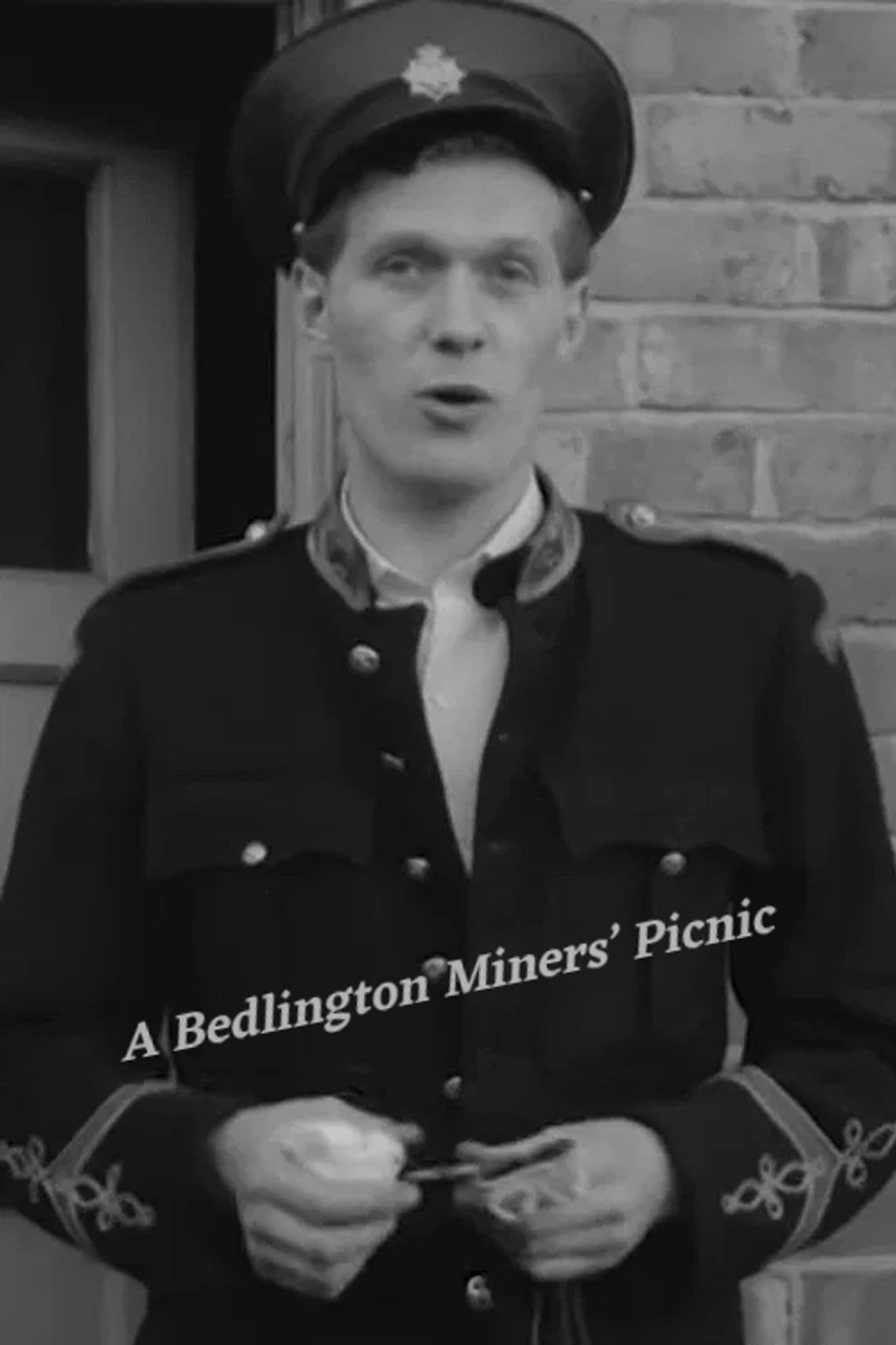 A Bedlington Miners' Picnic