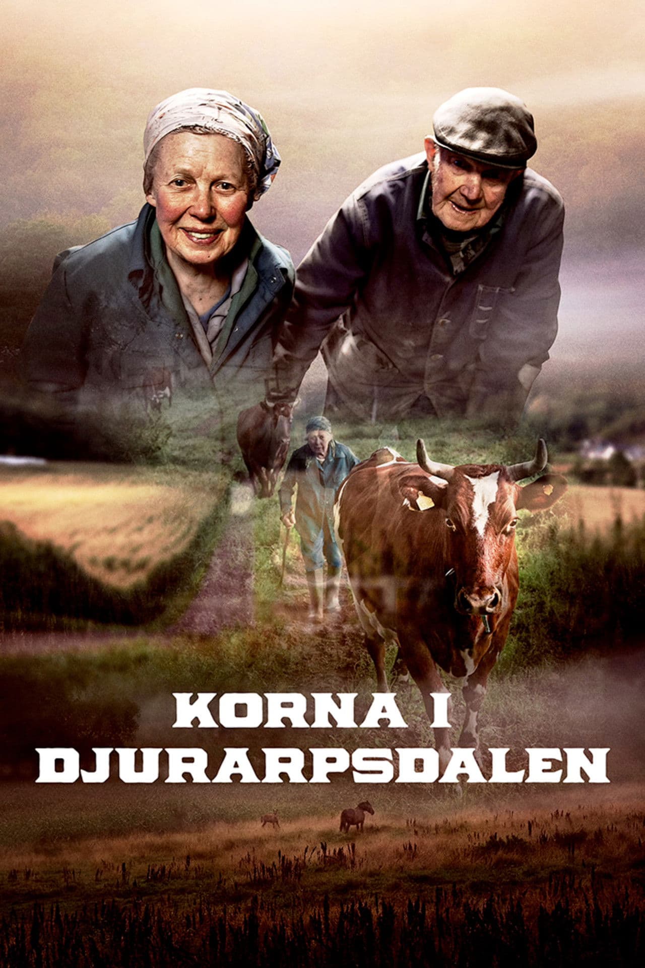 Korna i Djurarpsdalen