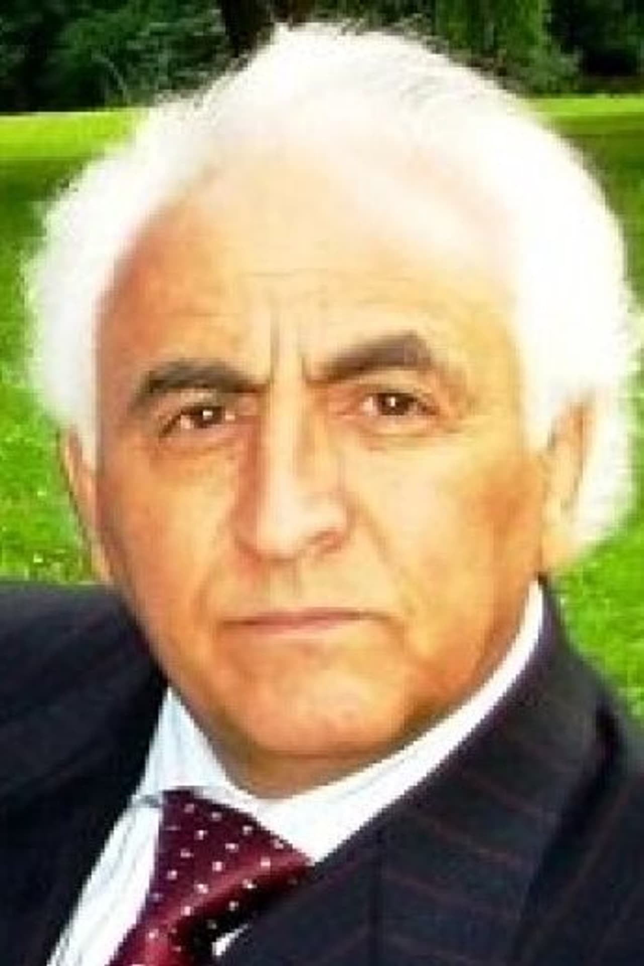 Rafik Grigoryan