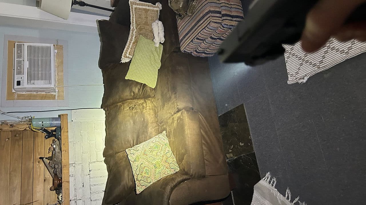 The Three Fellas in the Doghouse: Nobody’s Safe