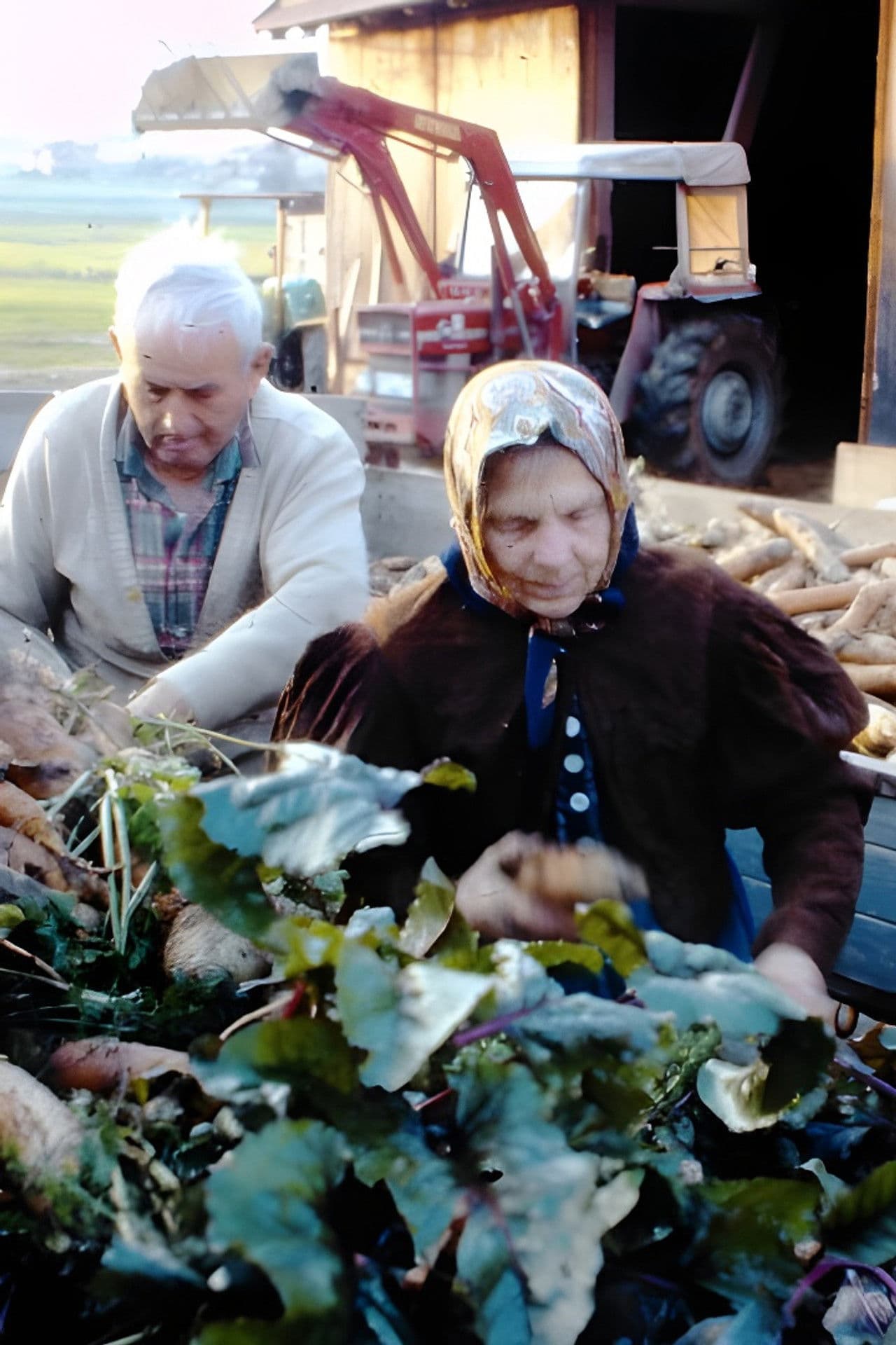 Drei Bauern unter einem Hut