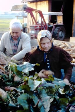 Drei Bauern unter einem Hut