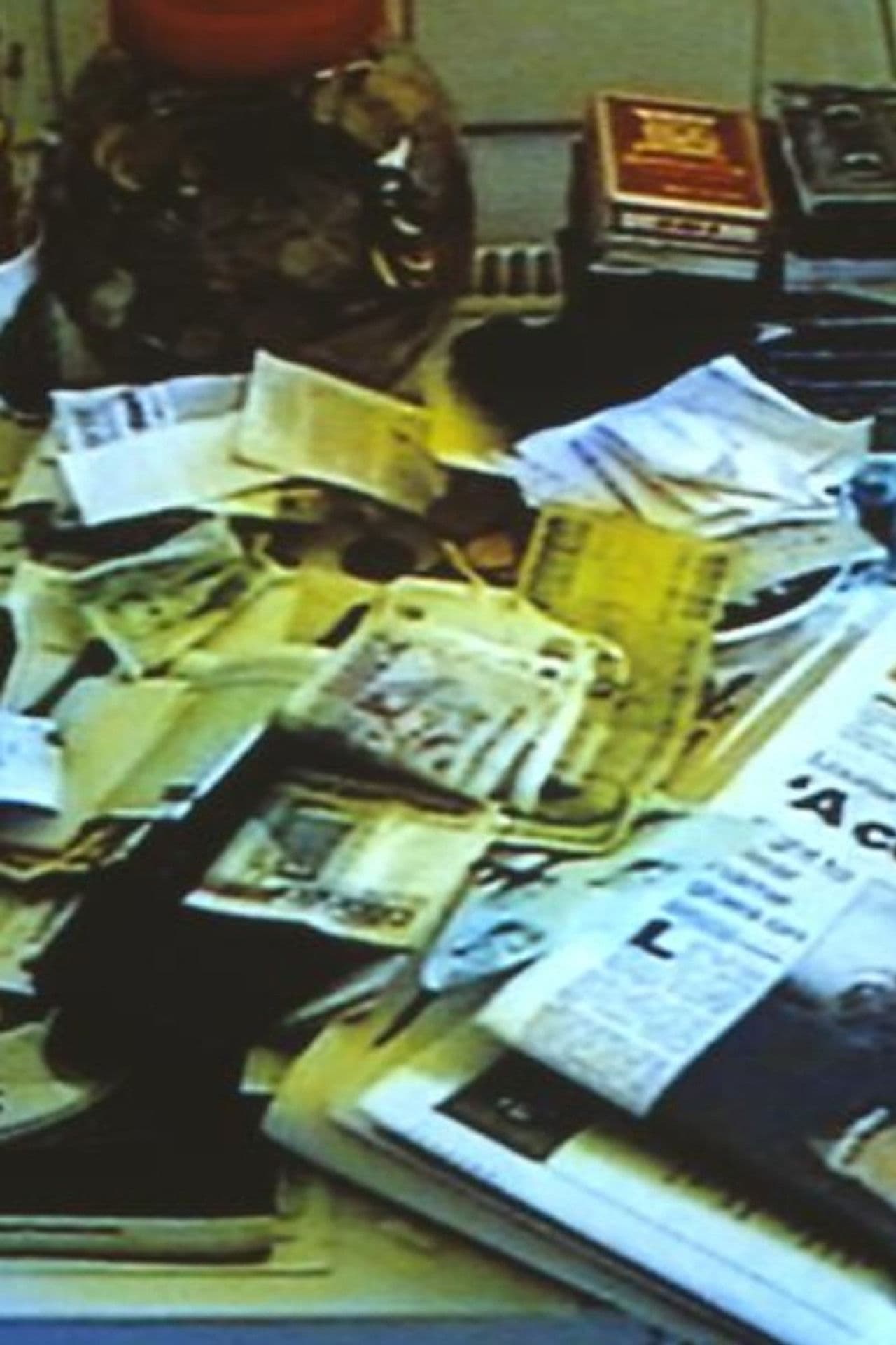 Tracey Emin C.V. Cunt Vernacular