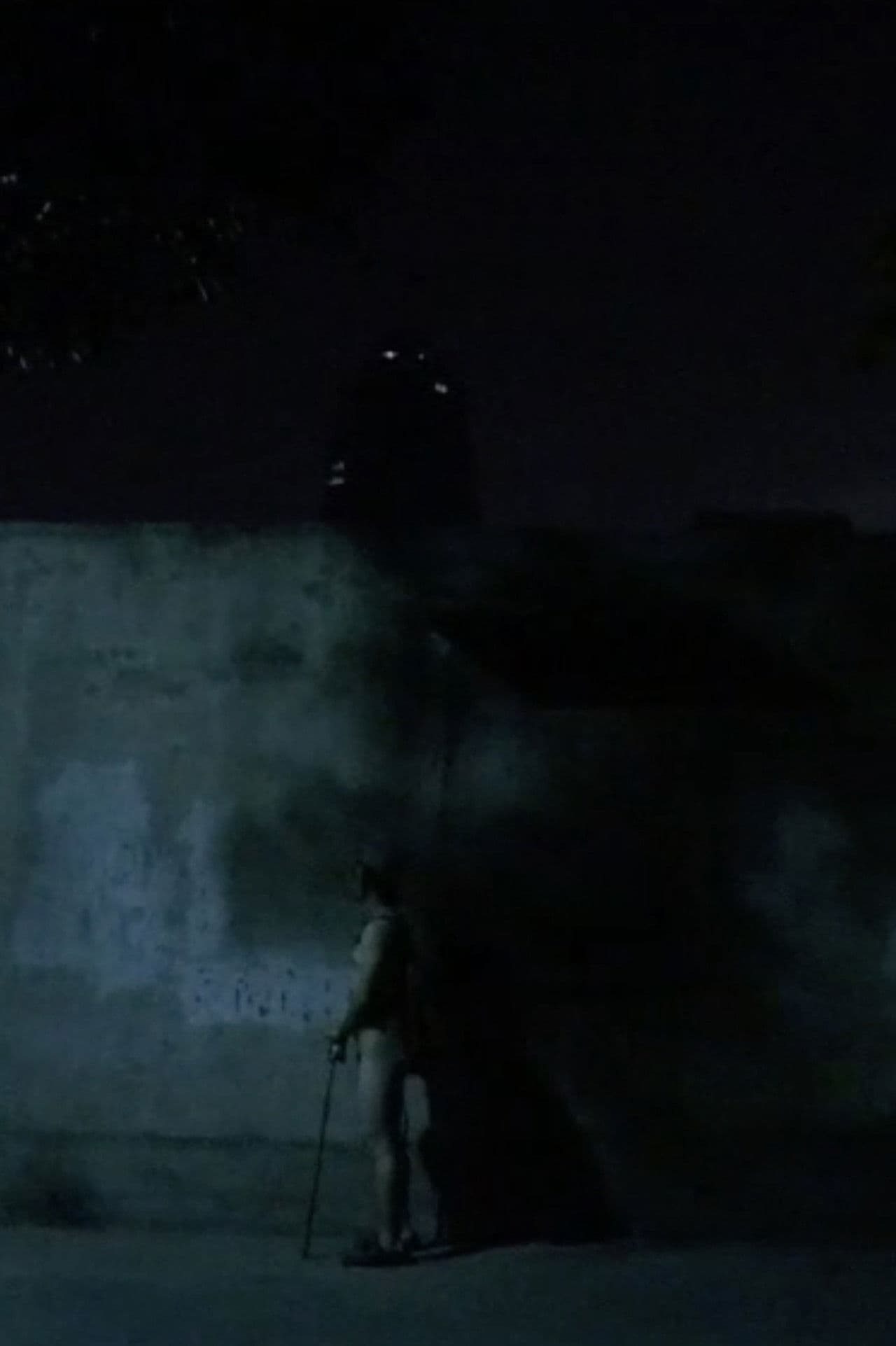 Right Night / Larva Night