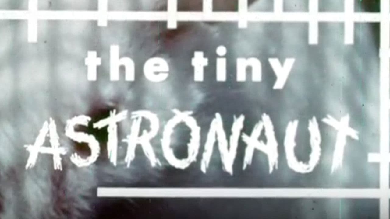 The Tiny Astronaut