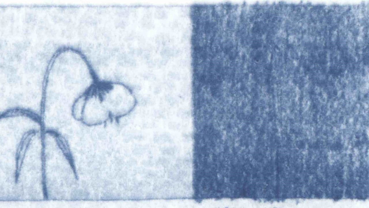 Blue Dreams of the Wind