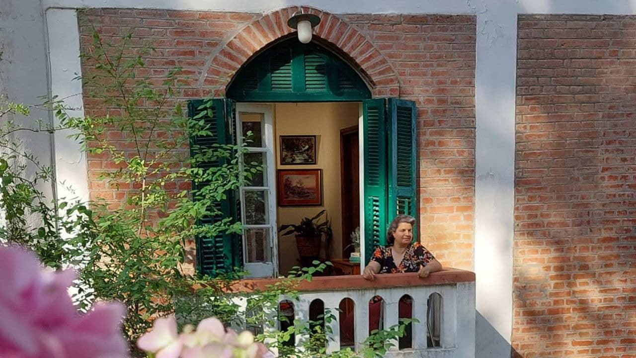 Μπλακ Φόρεστ