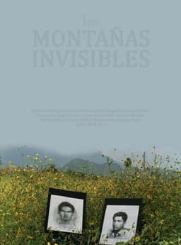 The Invisible Mountains