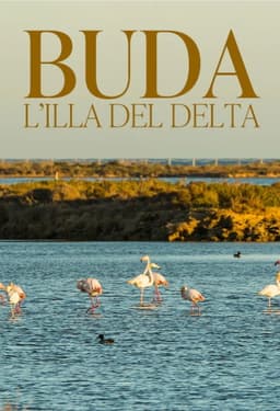 Buda, l'illa del Delta