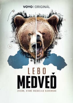Lebo medveď