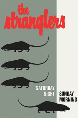The Stranglers: Live at Alexandra Palace