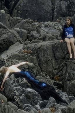 Those Who Kept the Light / Seaweed