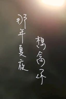 那年夏夜，想念你