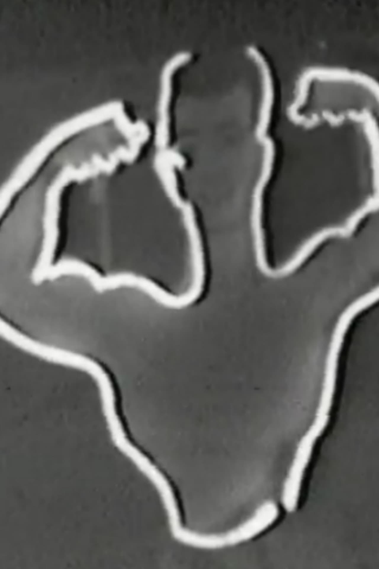 O Homem do Braço e o Braço do Homem