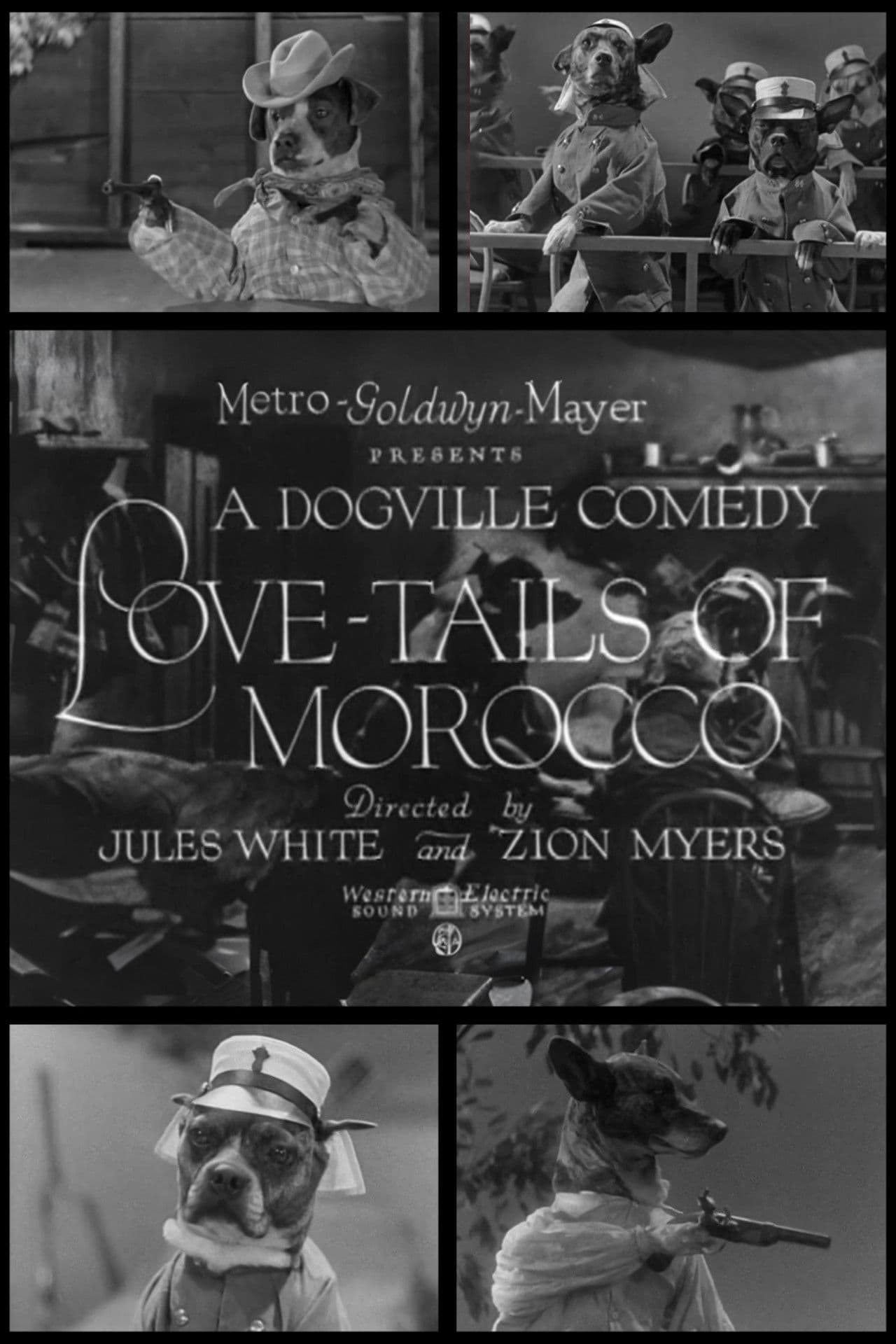 Love-Tails of Morocco