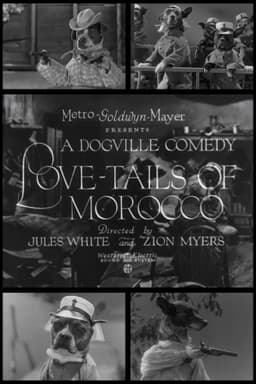 Love-Tails of Morocco