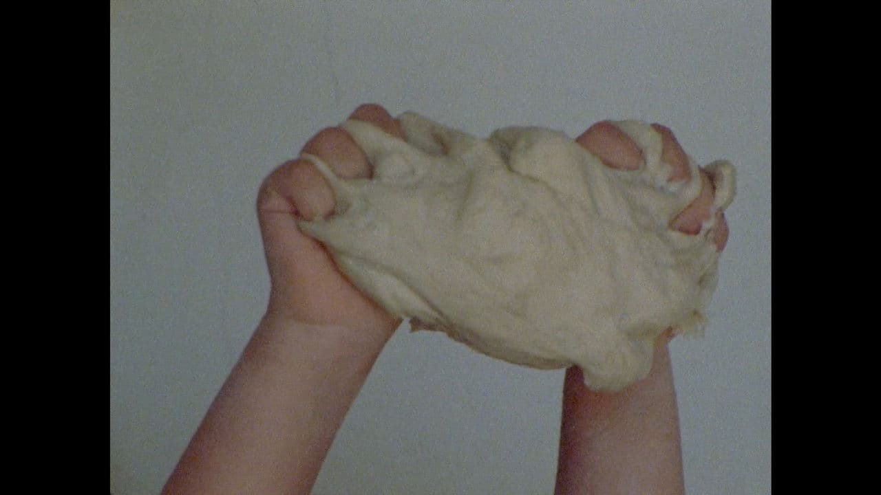 Domesticar Há Milénios