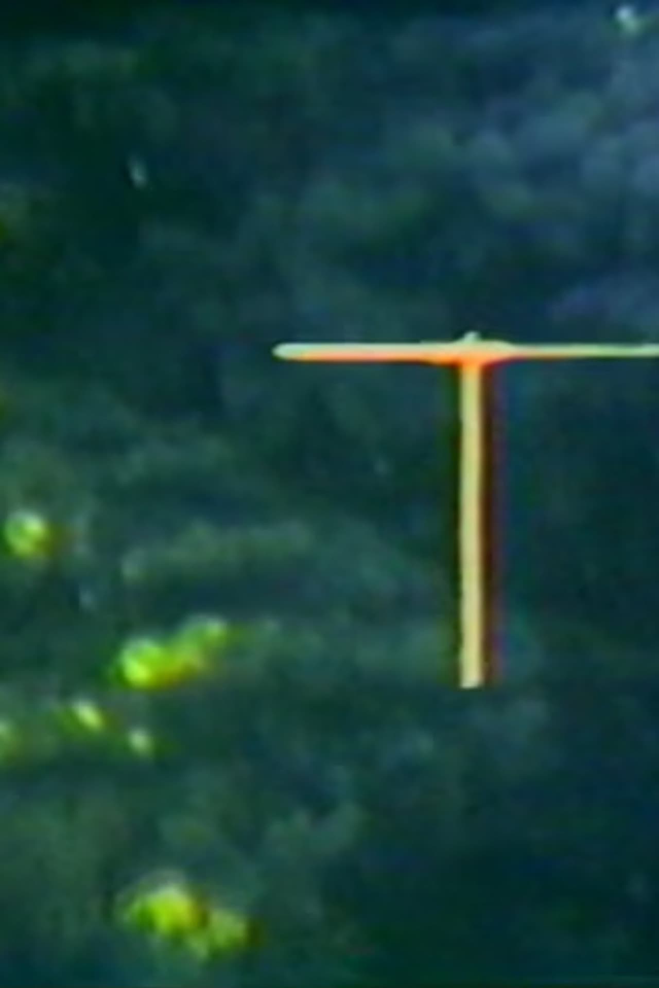 Mobius Film Loop Propellers