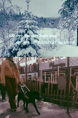 Oslofilm: Hundre nye hunder hver dag