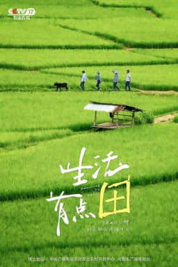 生活有点“田”