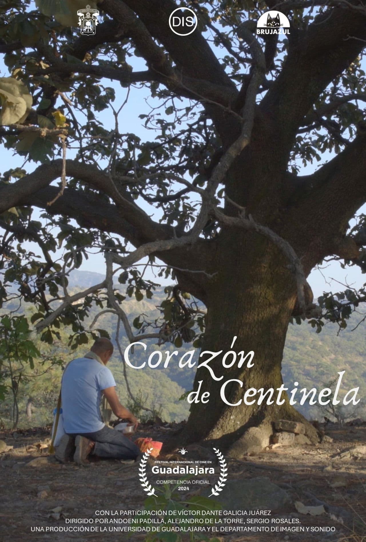 Corazón de centinela