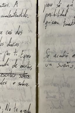 Releyendo mi diario (Autorretrato)