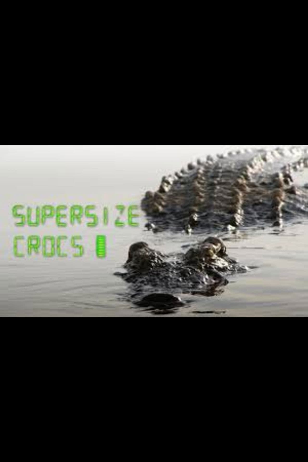 Supersize Crocs - Finding the World's Largest Crocodiles
