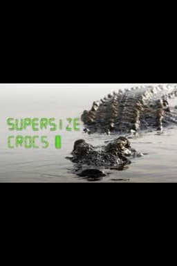 Supersize Crocs - Finding the World's Largest Crocodiles