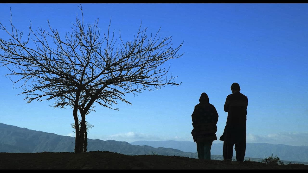 A Crack in the Light