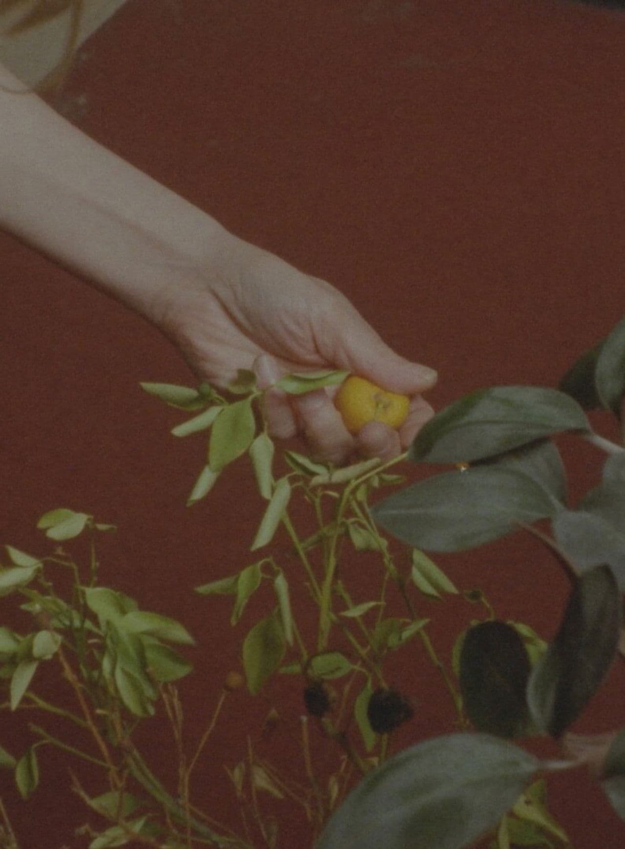 Barefoot Birthdays on Unbreakable Glass