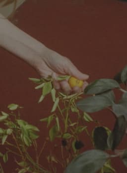 Barefoot Birthdays on Unbreakable Glass